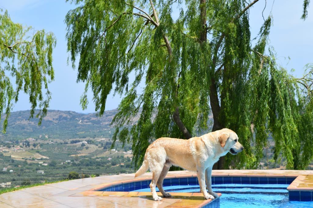 Aspalathos Villas Filippos Exterior photo